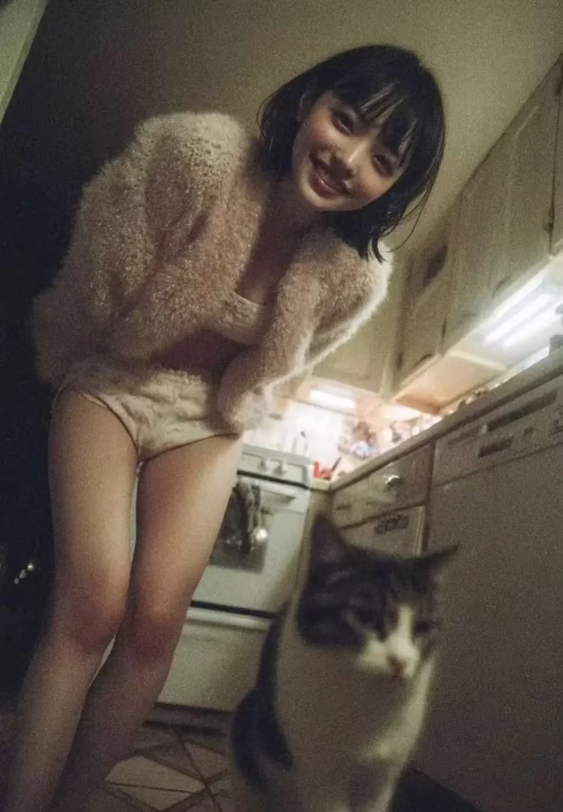 云南昆明全套课程嗨皮店