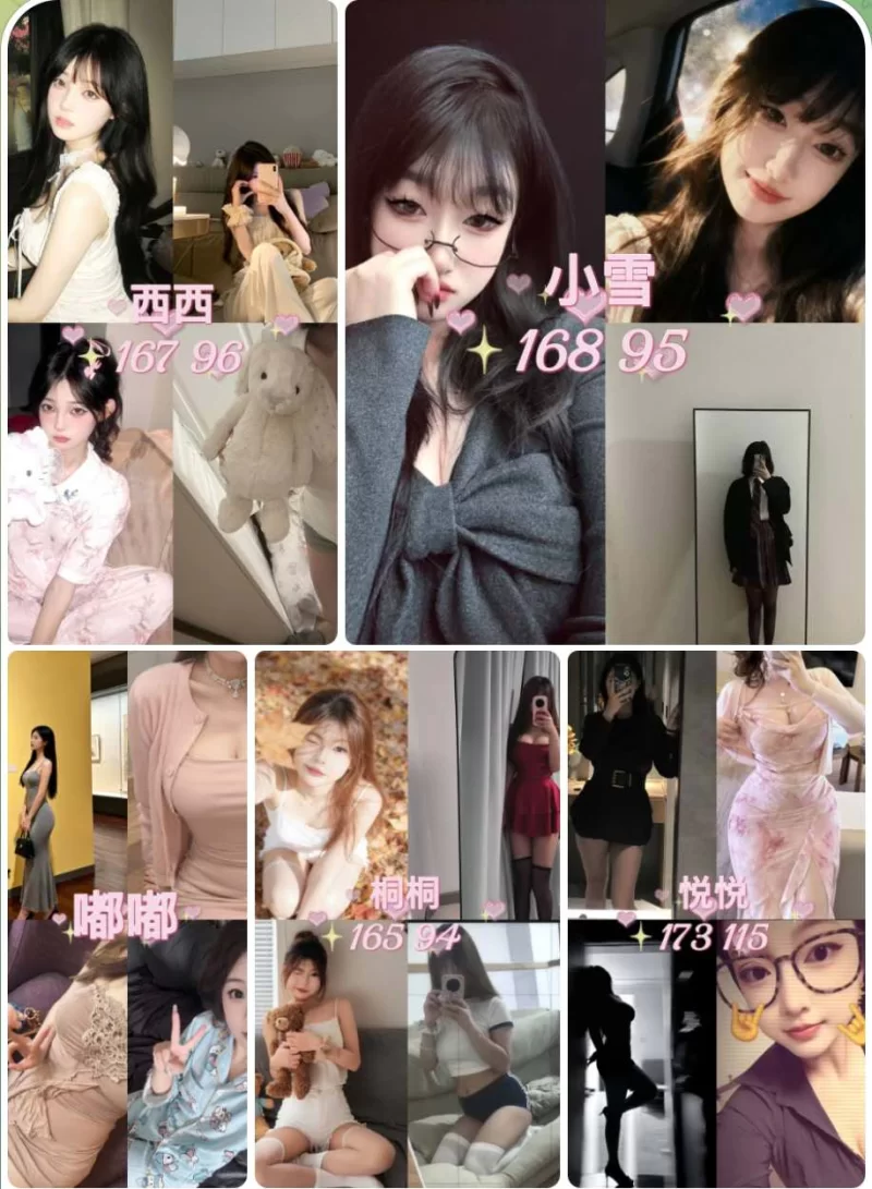 银川私影女仆