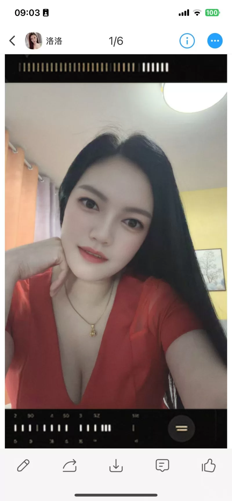 服务型洛洛