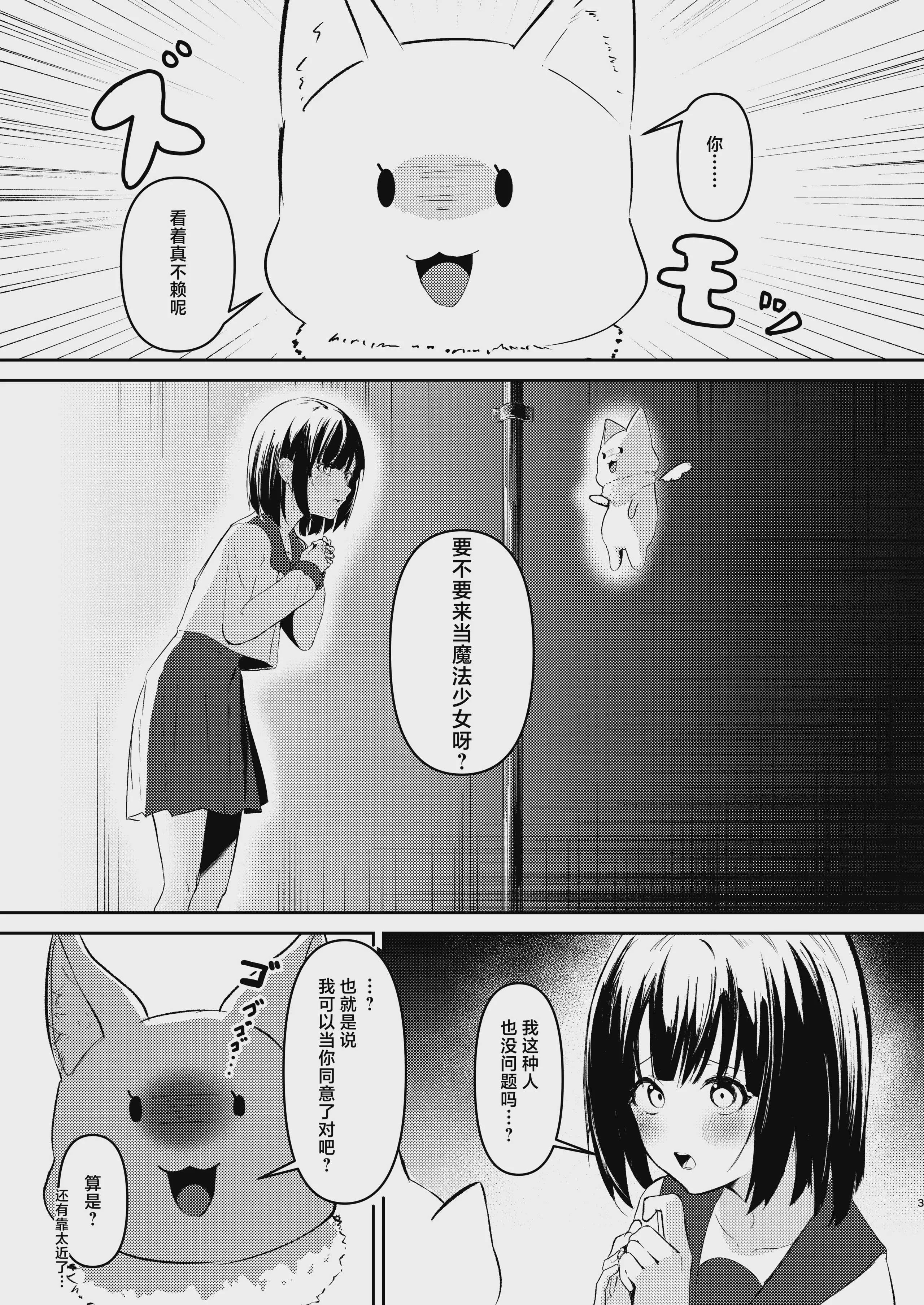 [サンシキダンゴ] 魔法少女の敗北｜魔法少女的战败