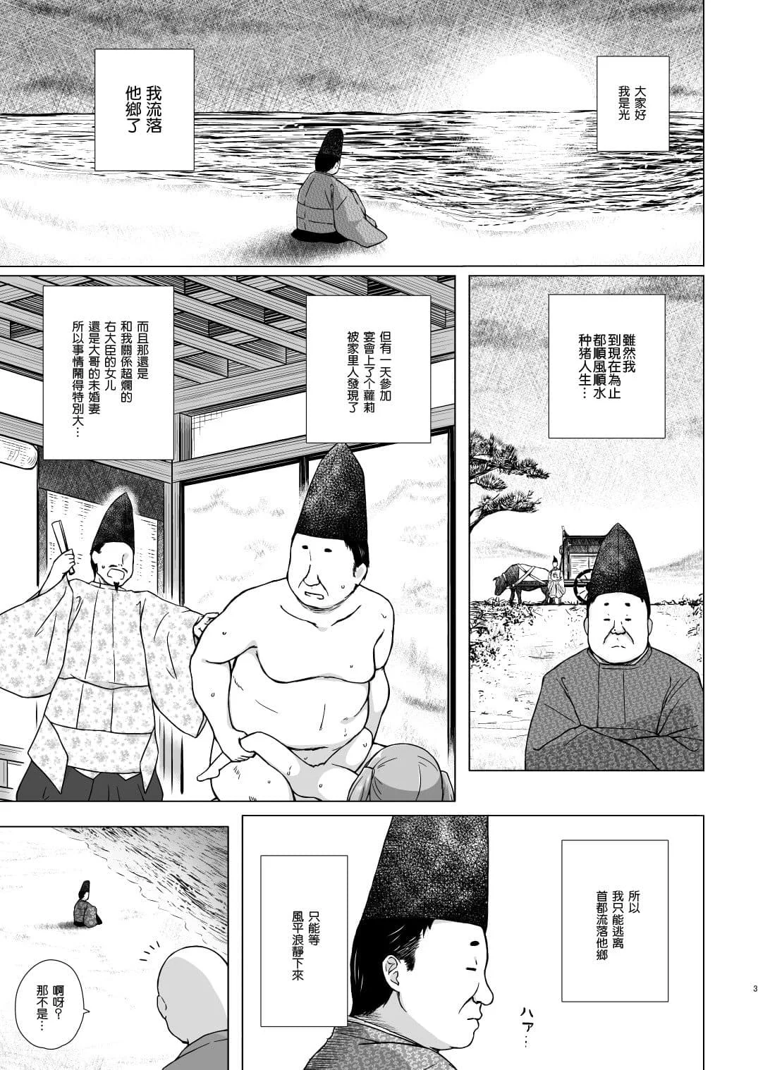 [ノラネコノタマ (雪野みなと)] 光の君のさがなき計画 ＜総集編＞ [中国翻訳] [無修正]