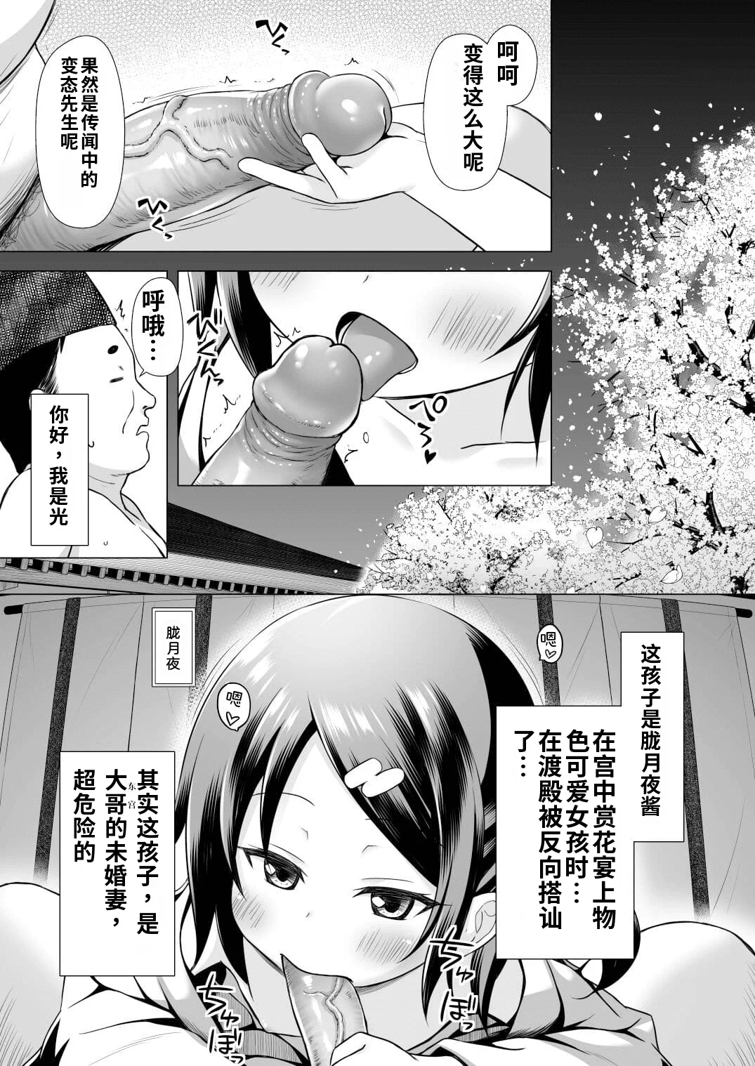 [ノラネコノタマ (雪野みなと)] 光の君のさがなき計画 ＜総集編＞ [中国翻訳] [無修正]