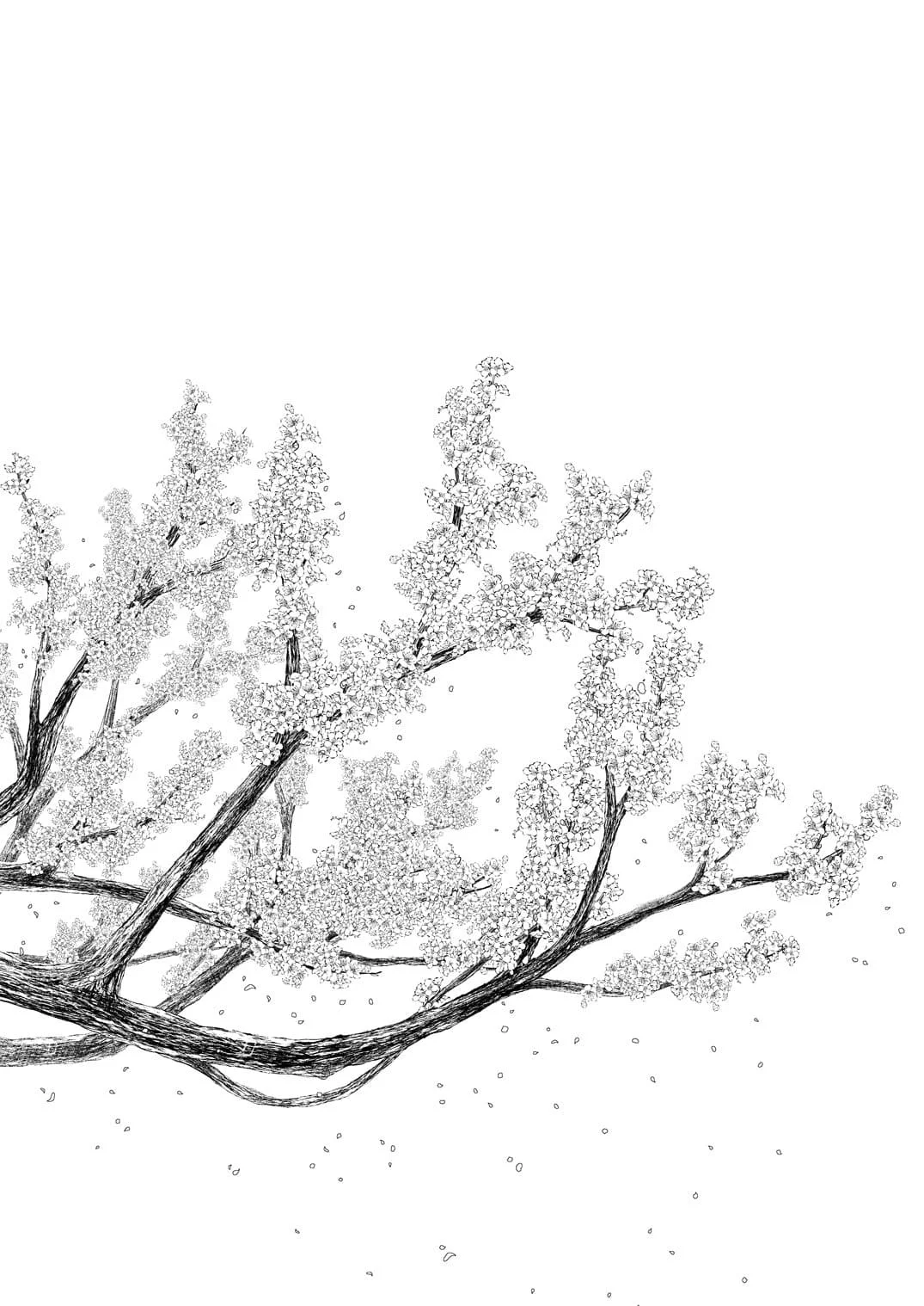 [ノラネコノタマ (雪野みなと)] 光の君のさがなき計画 ＜総集編＞ [中国翻訳] [無修正]