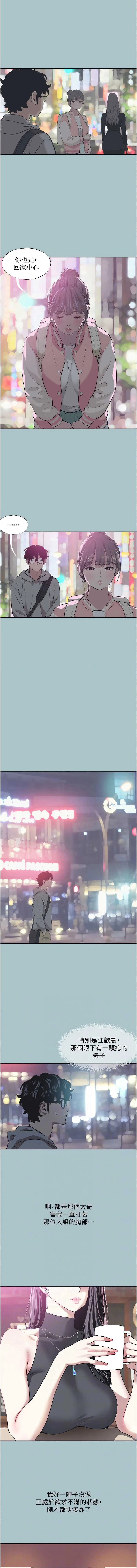 不要恋爱要打砲