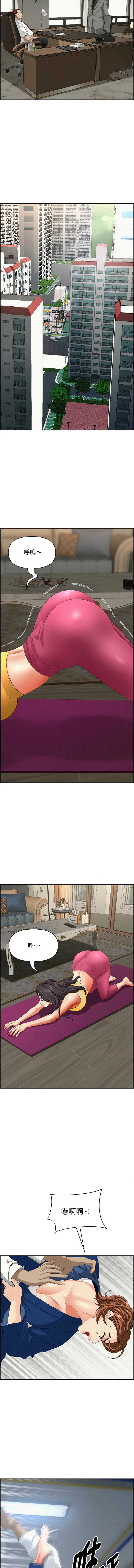 贵妇的专属保镳